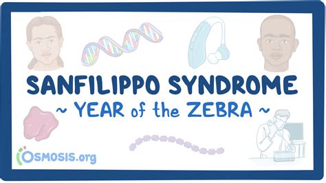 Sanfilippo Syndrome Year Of The Zebra Video Osmosis