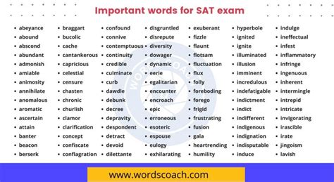 Important Words For Sat Exam Word Coach