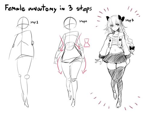 Female Anatomy In Steps How To Draw An Owl Know Your Meme Body
