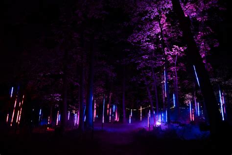 North Forest Lights Immersive Light And Sound Installations In The