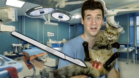 Neutering My Cat Surgical Youtube