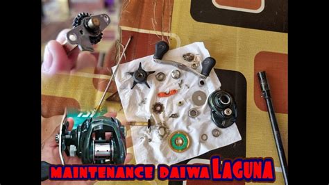 Maintenance Reel Bc Daiwa Laguna Youtube