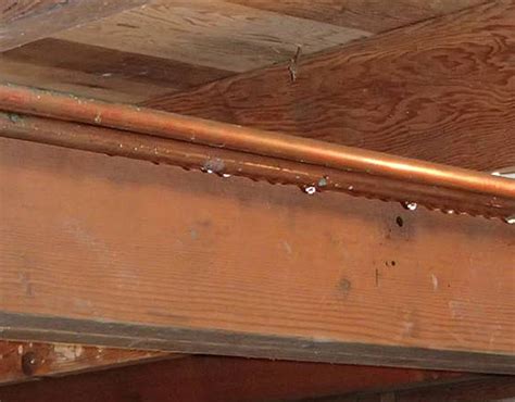 Should I Insulate My Cold Water Pipes Greenbuildingadvisor