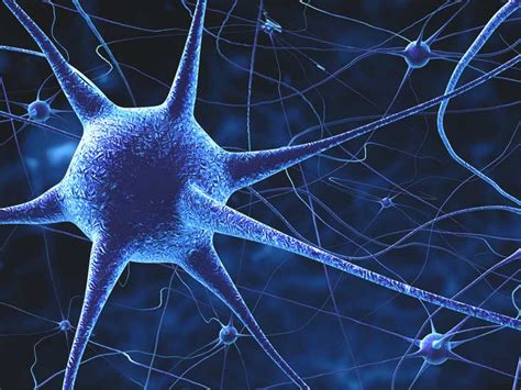 11 Fun Facts About The Nervous System