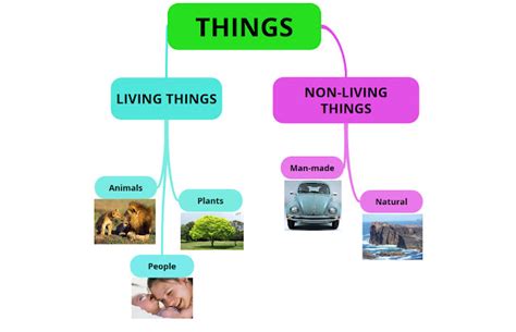 Natural Science For 5 And 6 6º Unit 4living Things