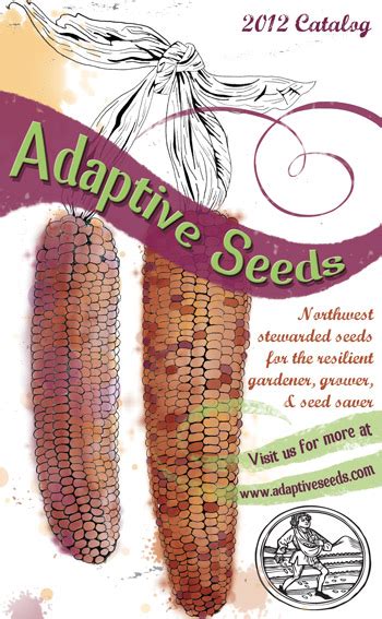 How To Order Adaptive Seeds