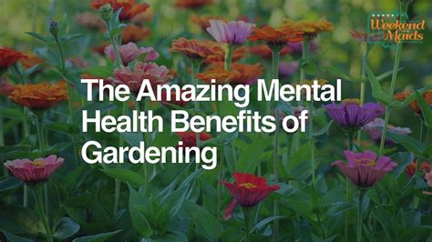 Mental Health Benefits Of Gardening Fasci Garden