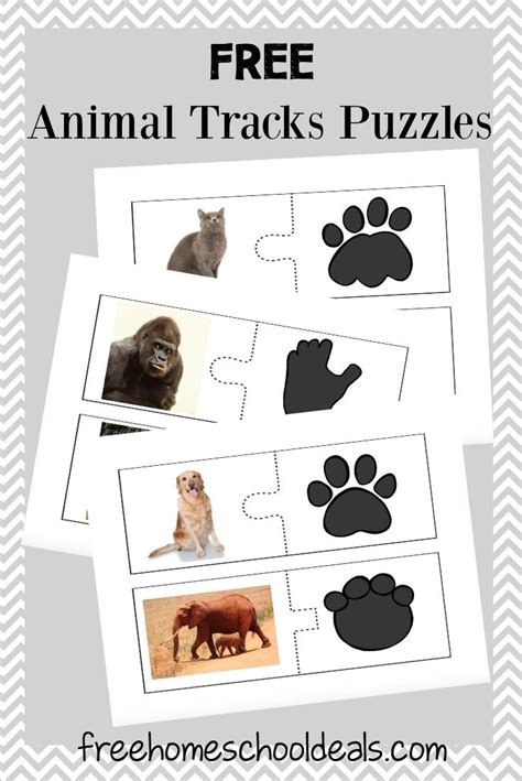 Free Animal Tracks Puzzles Instant Download Animal Tracks Animal