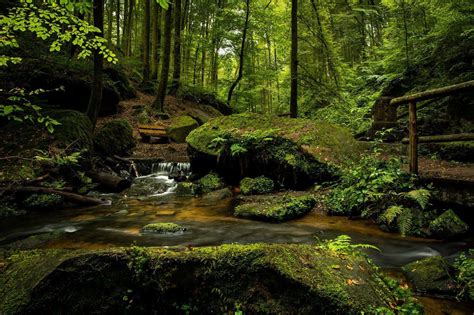 bench, cascade, creek, environment, flow, foliage, forest, landscape