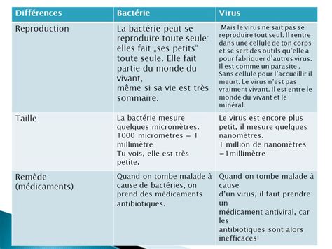 Difference Entre Virus Et Bacterie