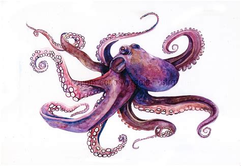 13 X 19 Octopus Poster 2000 Via Etsy Octopus Art Print
