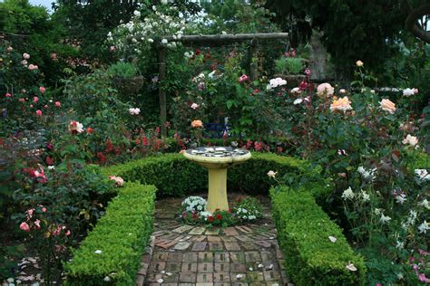 A Lovely Rose Garden With Formal Hedging English Garden Design