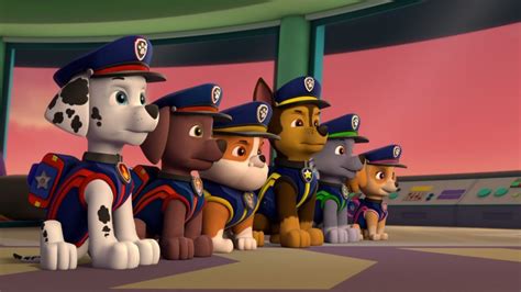 Paw Patrol Ultimate Rescue Compilation Paw Patrol Official And Friends