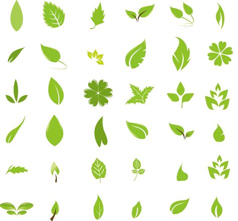 15 Cool Leaf Designs Images Free Vector Leaf Cool Designs Tumblr And