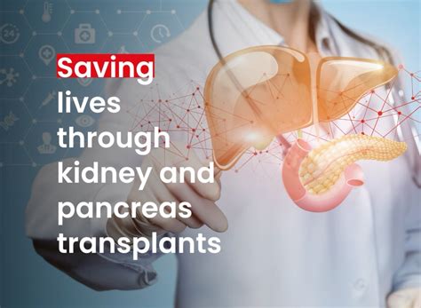 Kidney And Pancreas Transplants Infection Pancreas For Those With