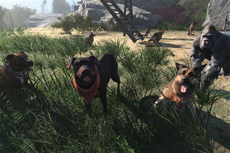 In the wasteland workshop dlc , you'll have access to a bunch of new items to deck out your settlements, and also you'll get a chance to capture and tame some of the wasteland's most dangerous creatures. Craftable Dogs and other Animals at Fallout 4 Nexus - Mods and community