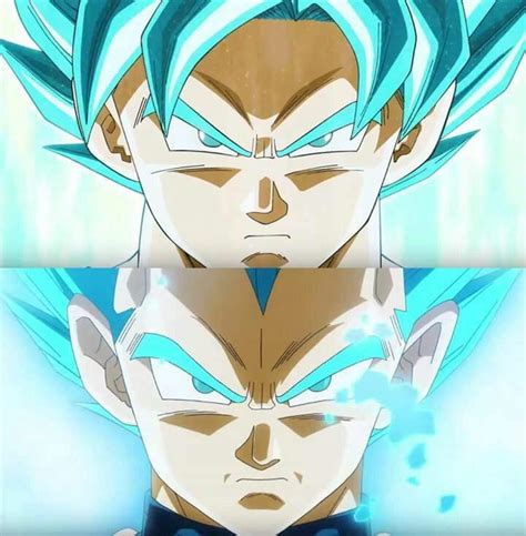 I like to think of super kaioken blue x10 as the equivalent of vegeta's super saiyan blue at full power. 6 Problems With Dragon Ball Super | Anime Amino