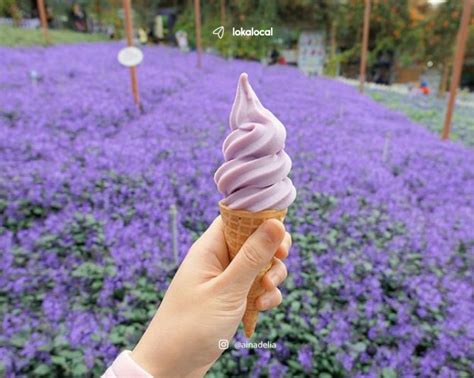 Garden, forest path and vegetable garden. Cameron Highlands: 20 must-do things for first timers ...