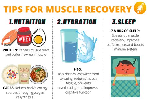 3 Tips On How To Speed Up Muscle Recovery After A Workout Rboostcamp