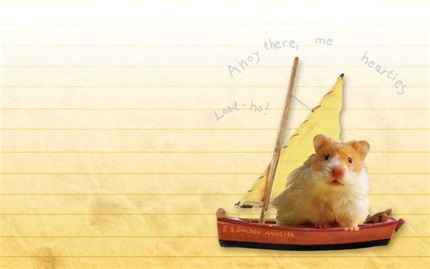 Hamster Wallpapers Kolpaper Awesome Free Hd Wallpapers
