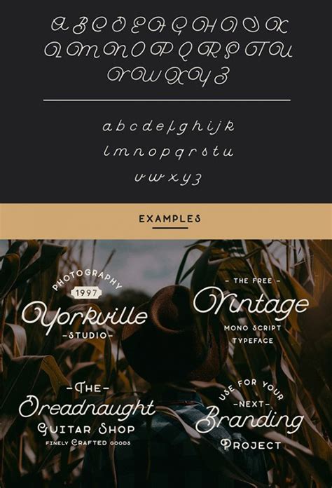 Featuring only the coolest and most beautiful free fonts available. Buffalo: Free monoline script font - Freebiesbug