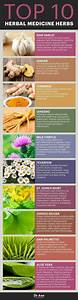 Top 10 Herbal Medicine Remedies Herbalism Herbal Medicine Natural