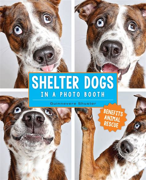 Shelter Dogs In A Photo Booth Book Review Pet Radio