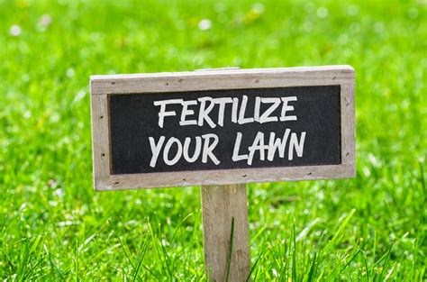 Fertilize Your Lawn Cardinal Lawns