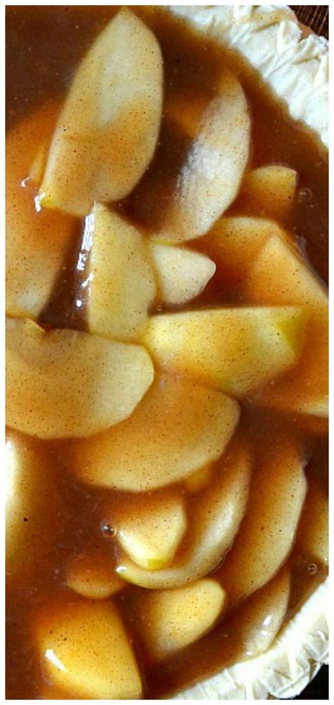 Pour the apple pie filling into the pie crust. Best Ever Homemade Apple Pie Filling | Recipe in 2020 ...