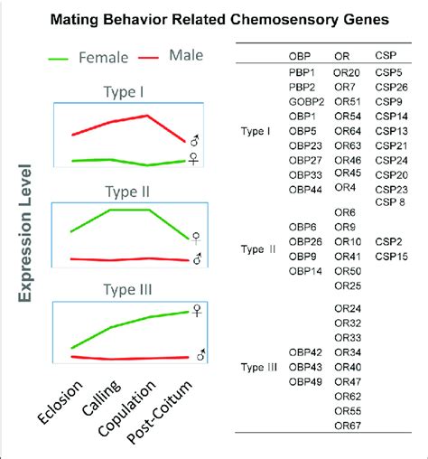 Expression Model Of Sex Biased Chemosensory Genes In D