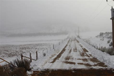 Foggy Road To Nowhere Snow Covered Tracks Stock Image Image Of Back