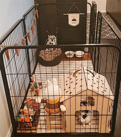 A Set Up For My Bun🐰 Pet Bunny Rabbits Pet Bunny Bunny Cages