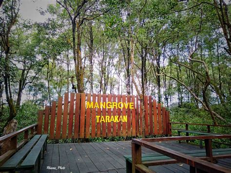 Wisata Pencegah Abrasi 7 Wisata Mangrove Terindah Di Indonesia