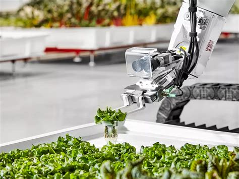 Futuristic Farm Begins Selling Its First Batch Of Vegetables Made By