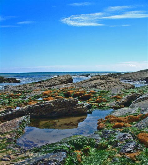 Intertidal Zone Rocky Bay Co Cork Ireland Taken Roc Flickr