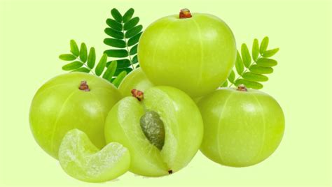 Benefits for hair & how to use. 5 science-backed reasons why amla is the solution to all ...