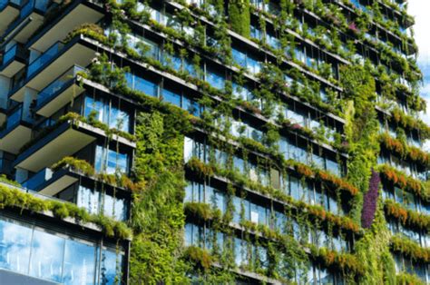Gedung Di Indonesia Yang Sukses Terapkan Green Building