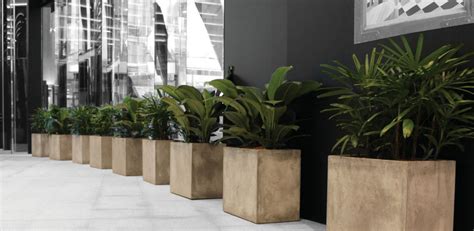 Modern Indoor And Office Planter Units Frenchams
