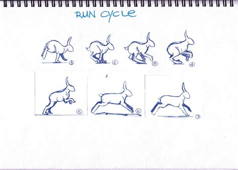 Hare Run Cycle Character Design Animated Bunny Rabbit Drawing