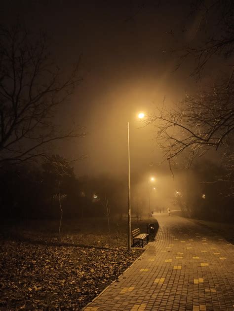 Misty Park At Night Rnoir