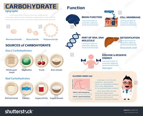Health Information Carbohydrate Infographic Vector Illustration Stock