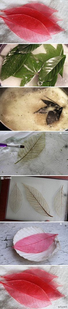 How To Make Leaf Skeletons Diy Art Leaf Skeleton