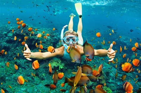 Best Sea Snorkeling Activity For Kids In Kona Hawaii El Coctel