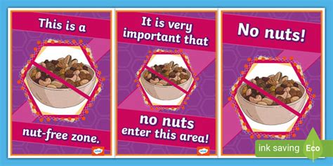 Nut Free Zone Allergy Display Posters Teacher Made