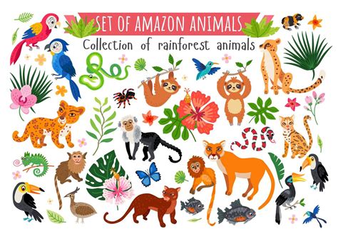 Rain Forest Animal Clipart