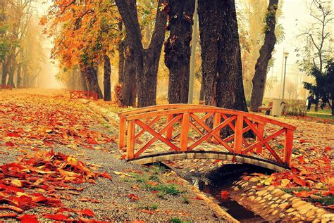 Bridge In Autumn Park Wallpaper And Background Image 1897x1270 Id
