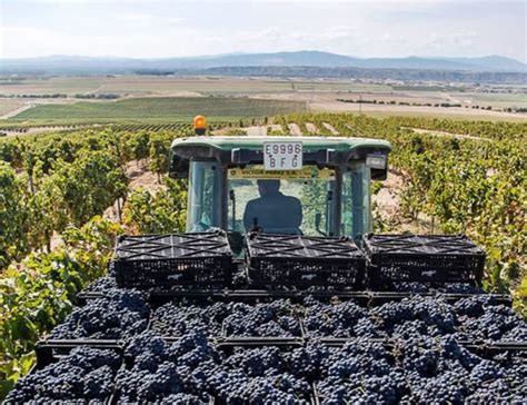Navarra Wines Type Of Wines Regulation And History