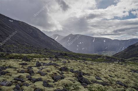 Tundra De Monta A Con Musgos Y Rocas Cubiertas De L Quenes Monta As