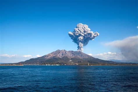 Search for text in url. 【防灾指南】在日本防范地震、台风等天灾时的注意事项 - tsunagu Local