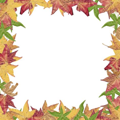 Leaf Page Borders Free Clipart Best